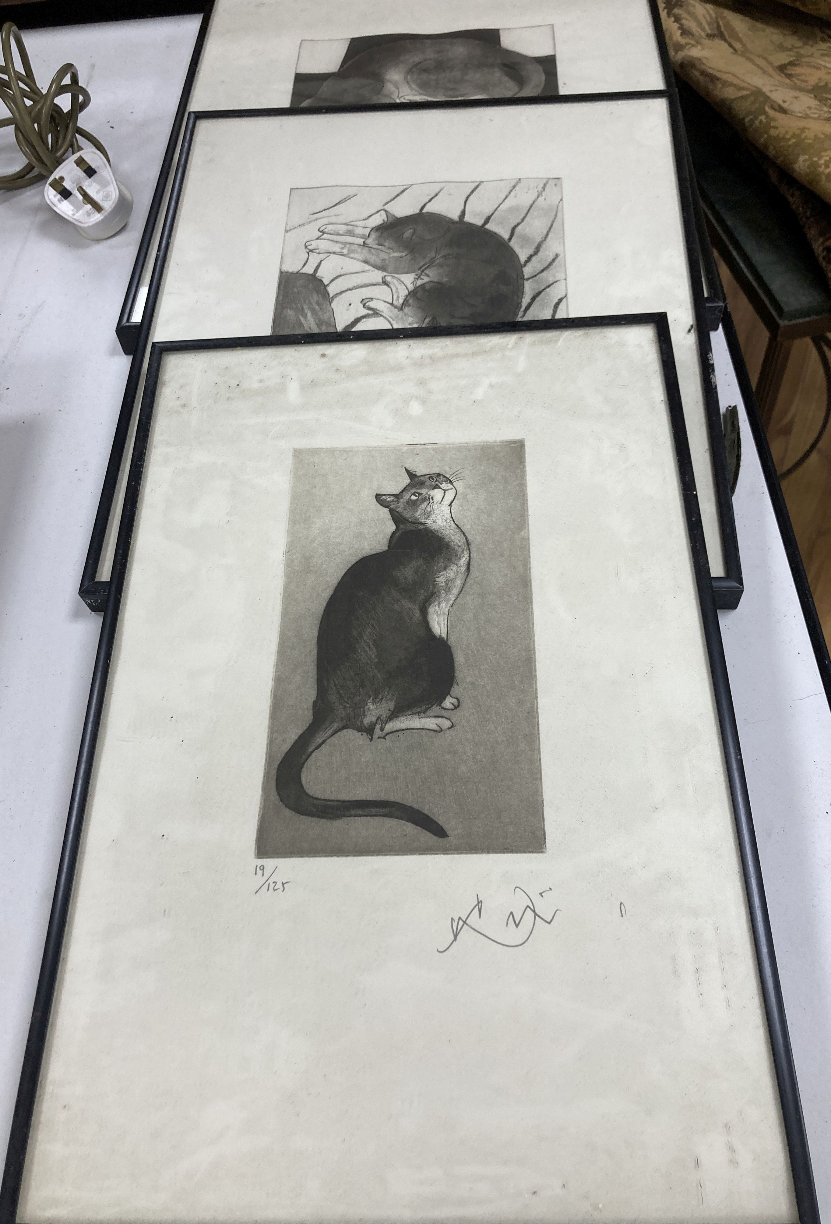 Modern British, three limited edition prints, Studies of cats, largest 41 x 35cm